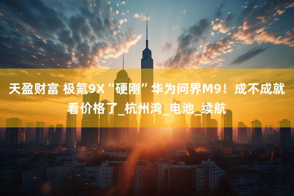 天盈财富 极氪9X“硬刚”华为问界M9！成不成就看价格了_杭州湾_电池_续航
