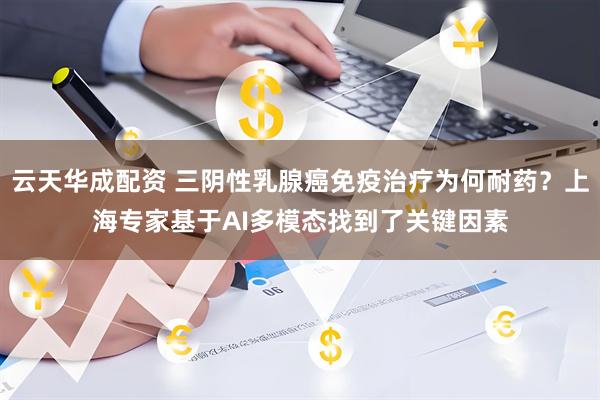 云天华成配资 三阴性乳腺癌免疫治疗为何耐药？上海专家基于AI多模态找到了关键因素