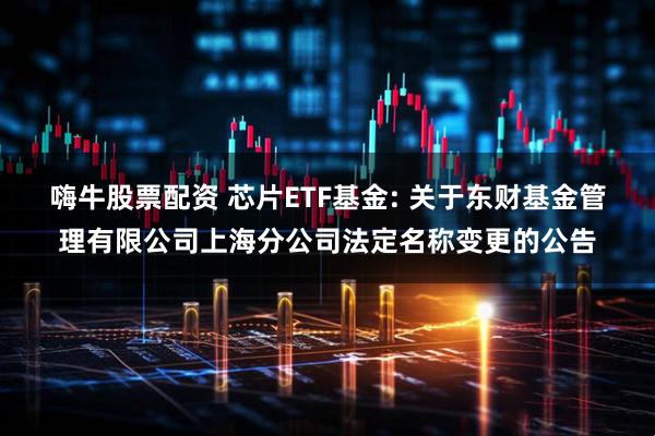 嗨牛股票配资 芯片ETF基金: 关于东财基金管理有限公司上海分公司法定名称变更的公告